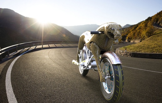 城市猎人缩略图